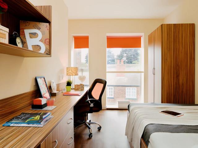 Room for rent in Newtown, Two Mills
