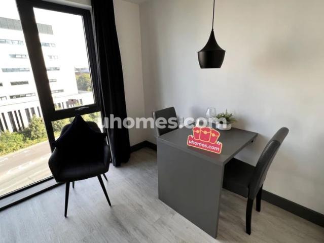 Studio for rent in Cheylesmore, West Midlands
