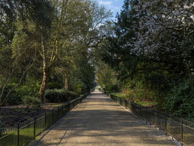 Apartment for rent in Bayswater, Greater London