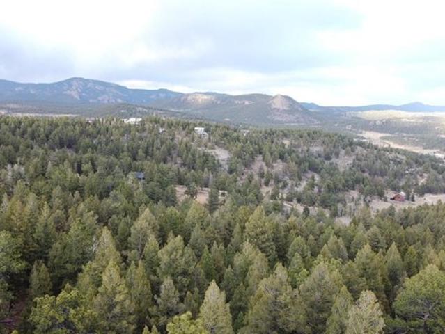Land for sale in Bailey, Colorado