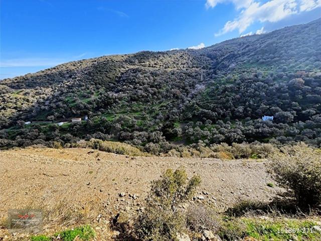Karaburun, İzmir içerisinde satılık Arsa