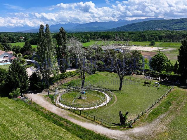 Maison vente à Thonon-les-Bains, Massongy