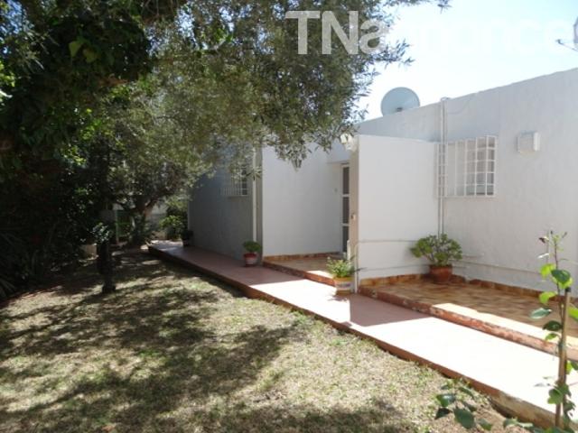 Appartement vente