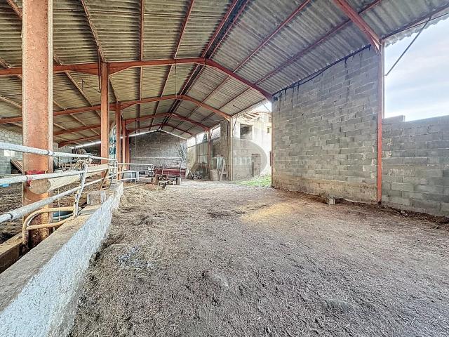 Ferme vente à Bagnères-de-Bigorre, Montgaillard