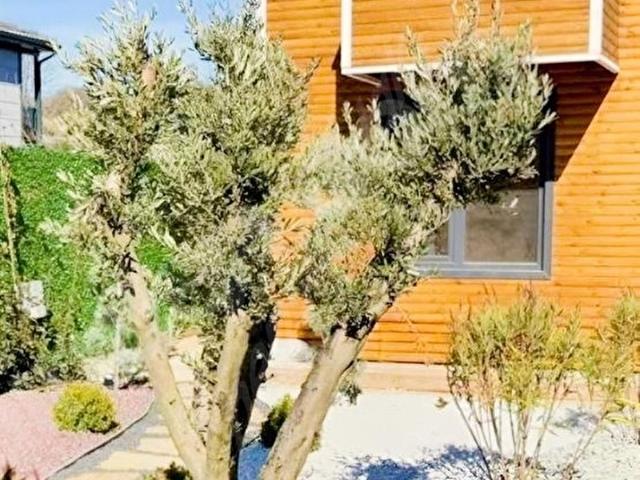 Şile, İstanbul içerisinde satılık Villa