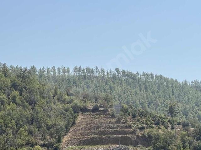 Kocaveliler, Alanya içerisinde satılık Arsa