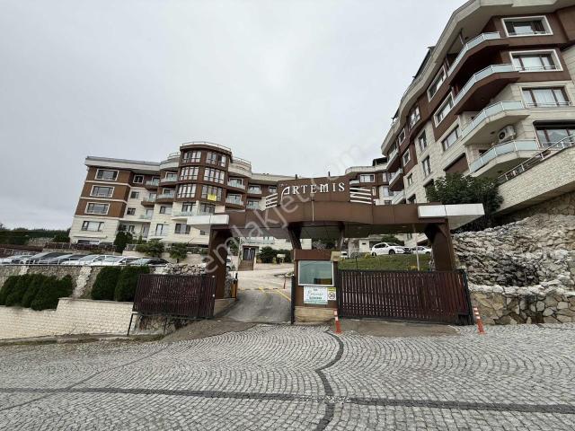 Şehit Murat Demir, Düzce Merkez içerisinde kiralık mülk