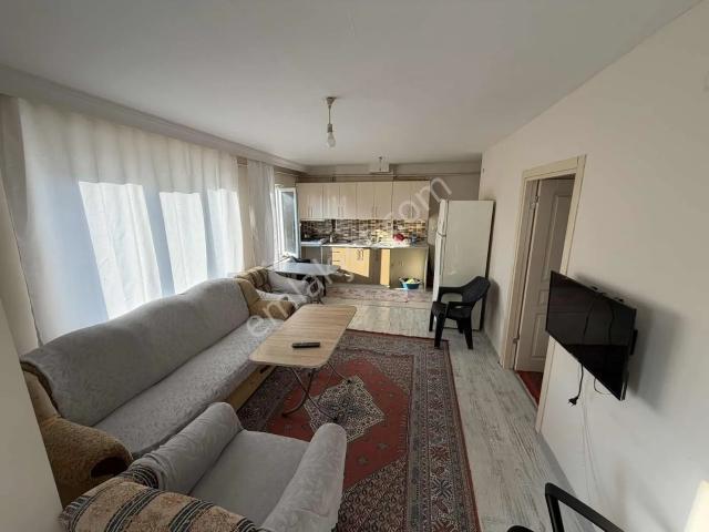 Düzce Merkez, Düzce içerisinde kiralık mülk