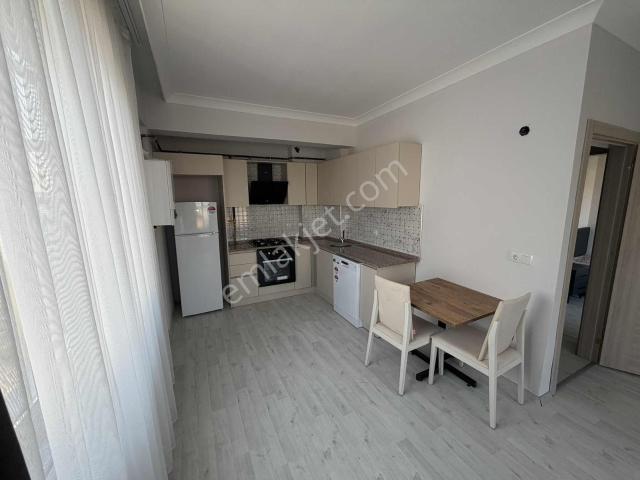 Düzce Merkez, Düzce içerisinde kiralık mülk