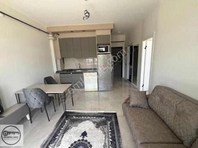 Kütahya Merkez, Kütahya içerisinde kiralık mülk