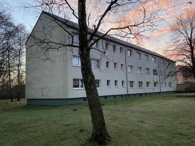 Apartment mieten in Flensburg, Schäferhaus