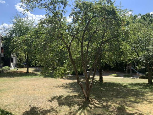 Apartment mieten in Bonn-Beuel, Bonn