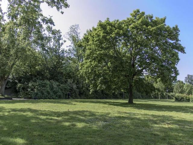 Apartment mieten in Scharnhorst-Ost, Dortmund