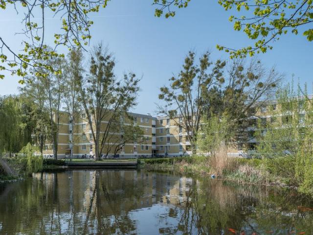 Apartment mieten in Grone, Göttingen