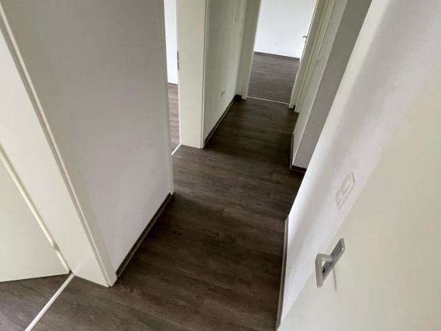 Apartment mieten in Hassel, Gelsenkirchen