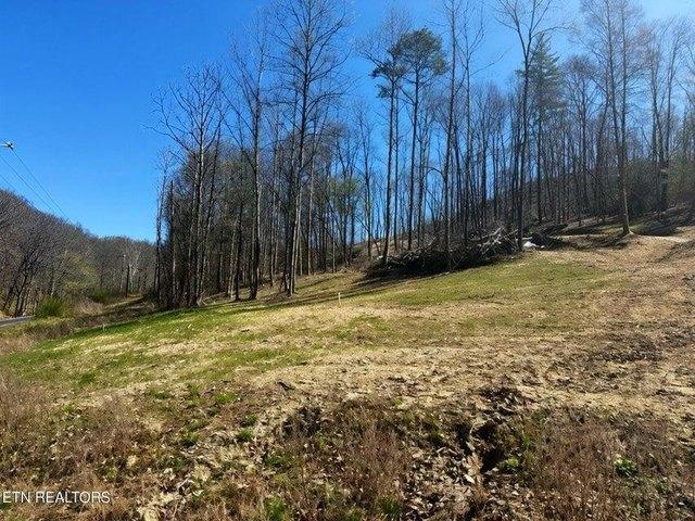 Land for sale in Tennessee