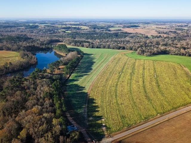 Land for sale in Georgia