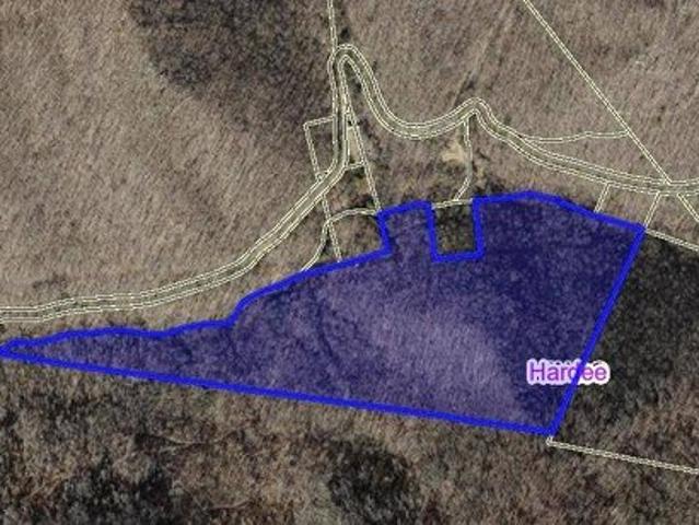Land for sale in Mingo, West Virginia