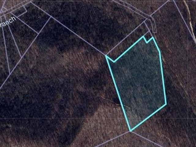 Land for sale in Mingo, West Virginia