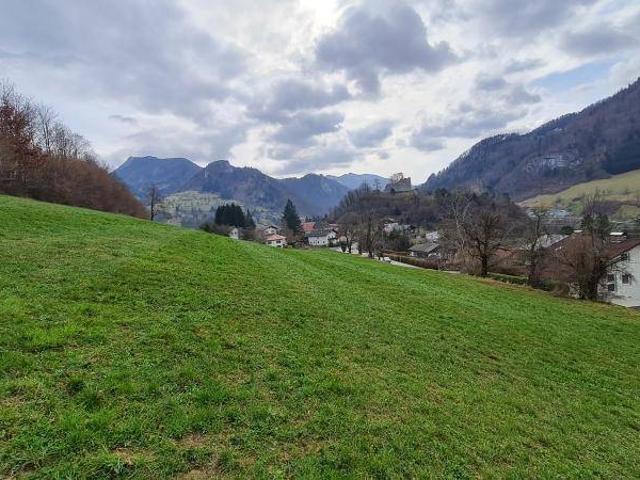 Immobilie kaufen in Losenstein, Oberösterreich