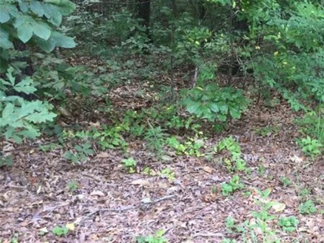 Land for sale in Walhalla, Oconee County
