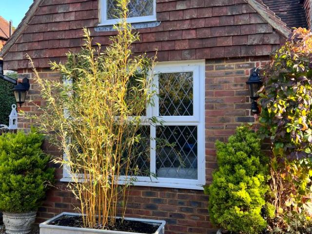 Apartment for rent in East Dean, Wealden