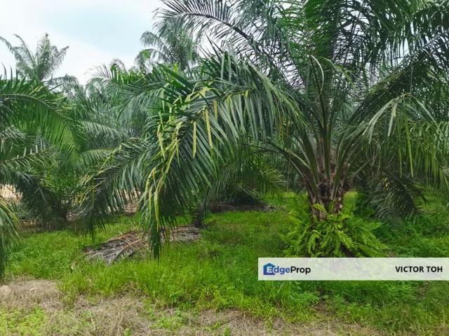 Shop for sale in Tanjong Sepat, Selangor