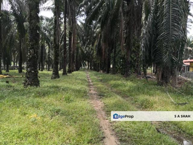 Warehouse for sale in Tanjong Sepat, Selangor