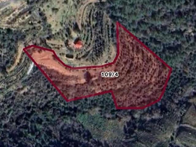 Çamlıpınaralanı, Anamur içerisinde satılık mülk