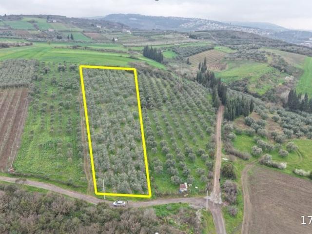 Çayırkent Sitesi, Altınova içerisinde satılık Arsa