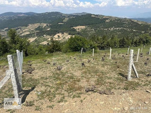 Menderes, İzmir içerisinde satılık mülk