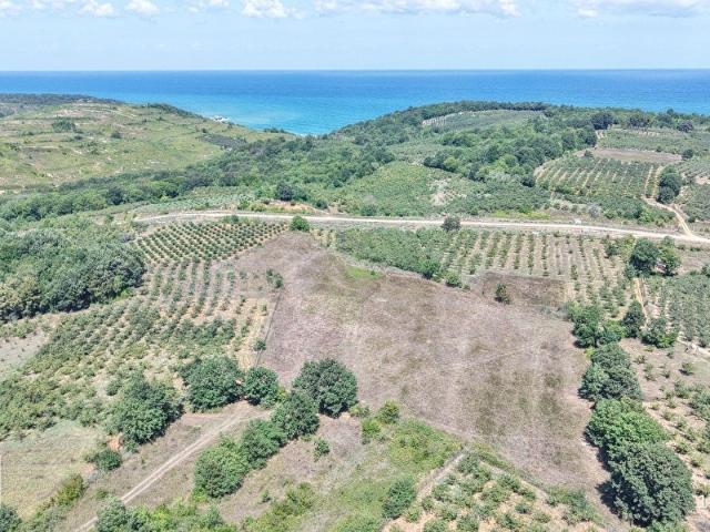 Kandira, Kocaeli içerisinde satılık Arsa