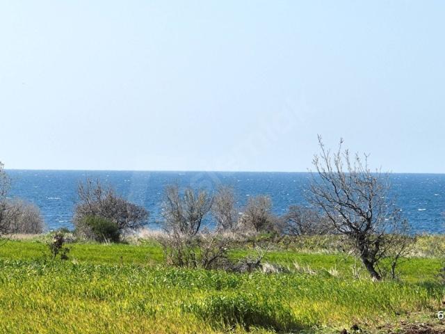 Kösedere, Ayvacık içerisinde satılık Arsa