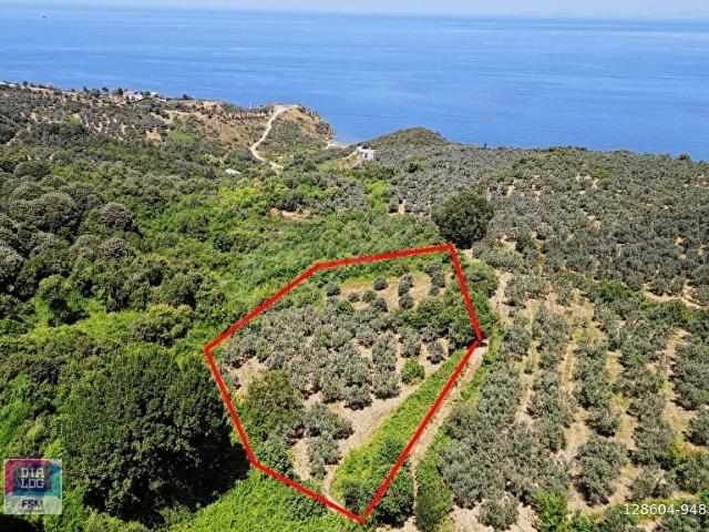 Çinarcik, Yalova içerisinde satılık mülk