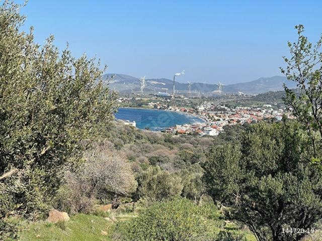 Foça, İzmir içerisinde satılık Arsa