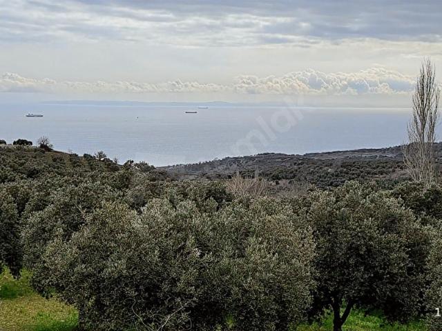 Kirazlı, Şarköy içerisinde satılık mülk