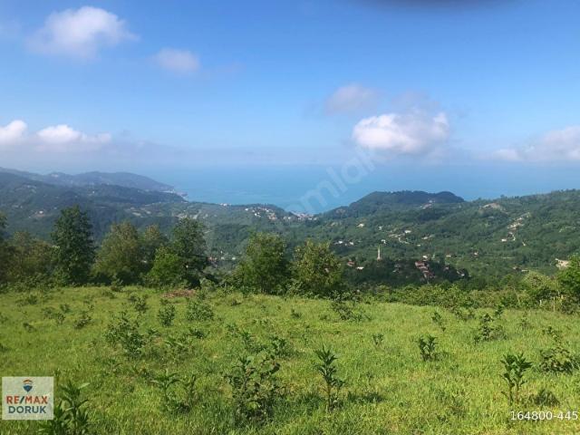 Ordu içerisinde satılık Arsa