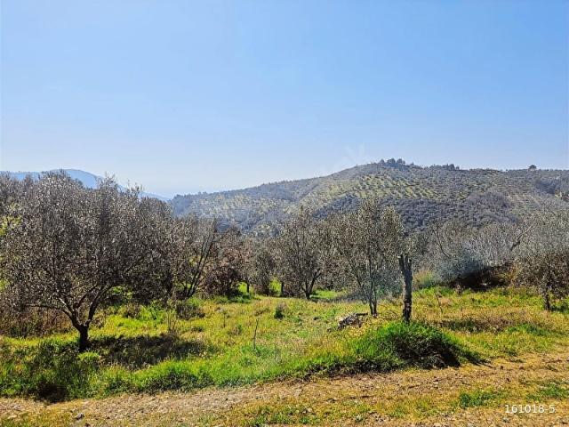 Ayvacik, Çanakkale içerisinde satılık Arsa