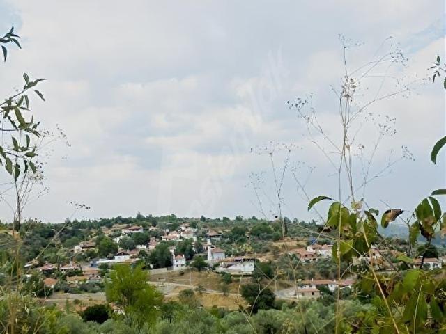 Muğla içerisinde satılık Arsa