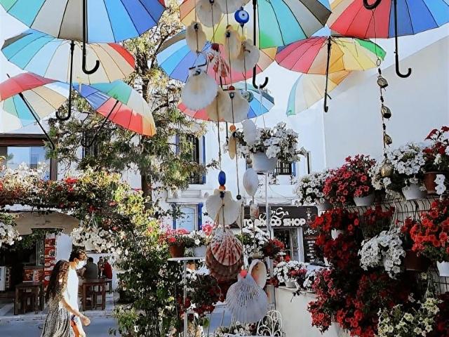 Bodrum, Muğla içerisinde satılık Turistik Tesis