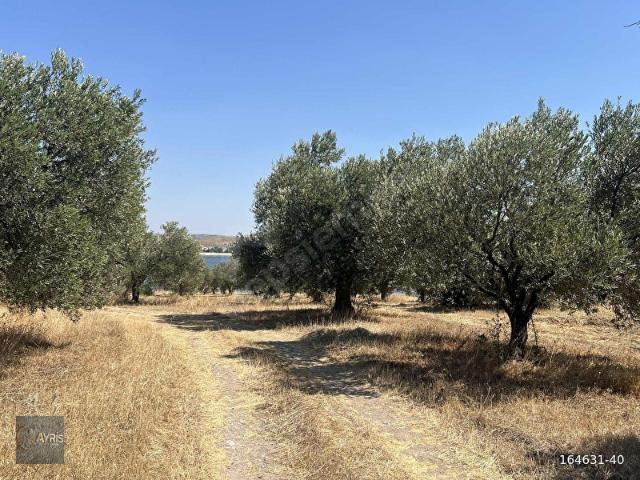 Aliağa, İzmir içerisinde satılık Arsa