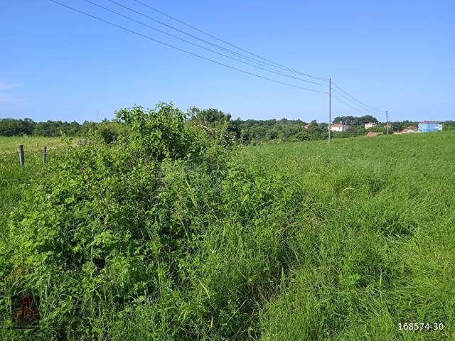 Sinop Merkez, Sinop içerisinde satılık Arsa