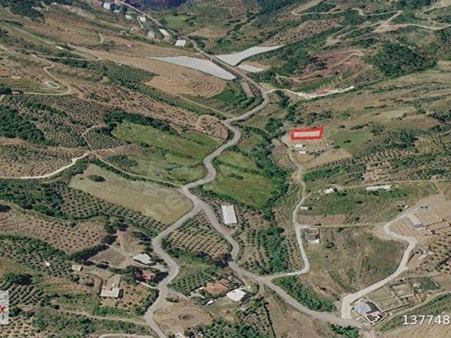 Gazipaşa, Antalya içerisinde satılık Arsa