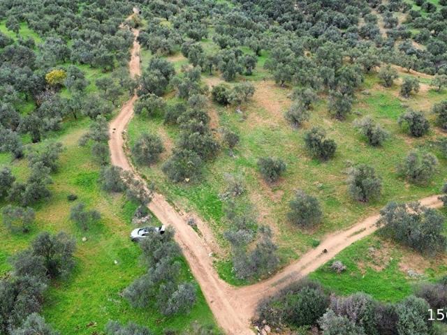 Bergama, İzmir içerisinde satılık mülk