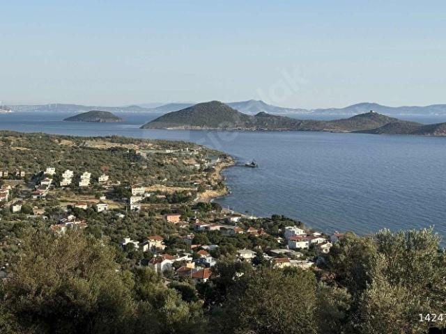 Dikili, İzmir içerisinde satılık Arsa