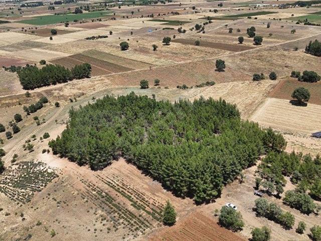 Acipayam, Denizli içerisinde satılık Arsa