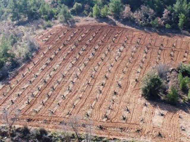 Çal, Denizli içerisinde satılık Arsa