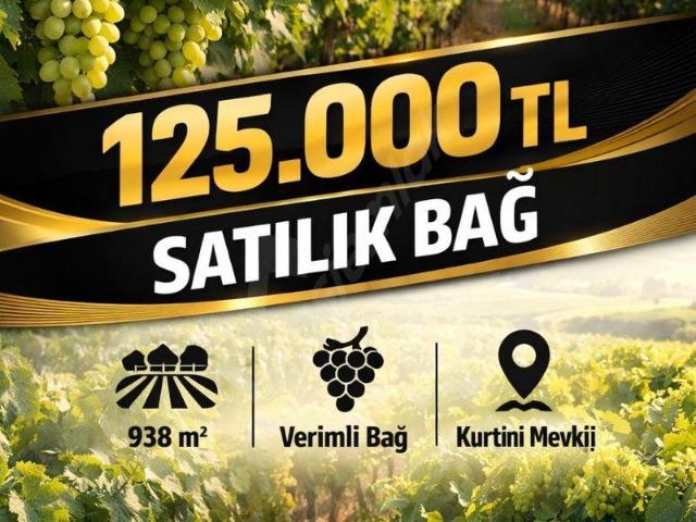 Bahadınlar, Çal içerisinde satılık Arsa