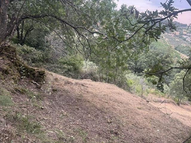 Babadağ, Denizli içerisinde satılık Arsa