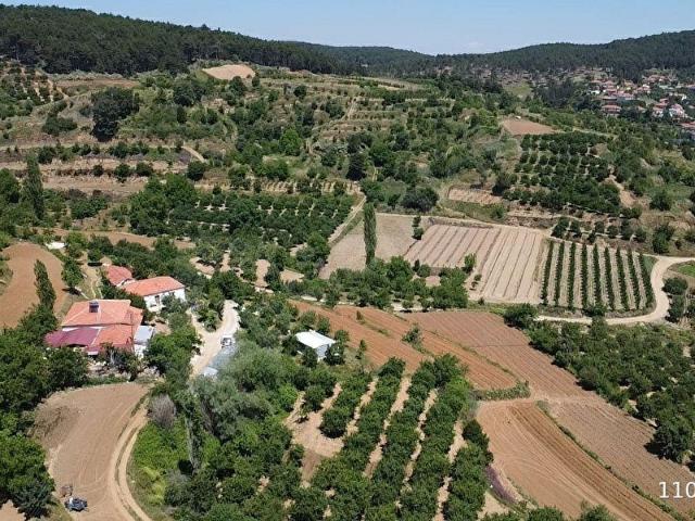 Kovanoluk, Buldan içerisinde satılık Arsa